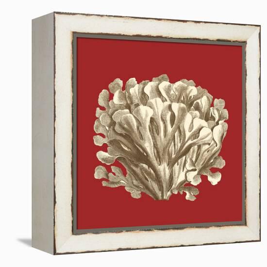 Coral on Red III-Vision Studio-Framed Stretched Canvas