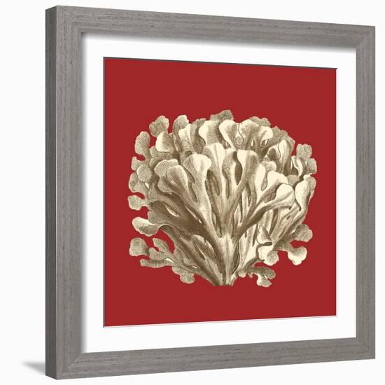 Coral on Red III-Vision Studio-Framed Premium Giclee Print