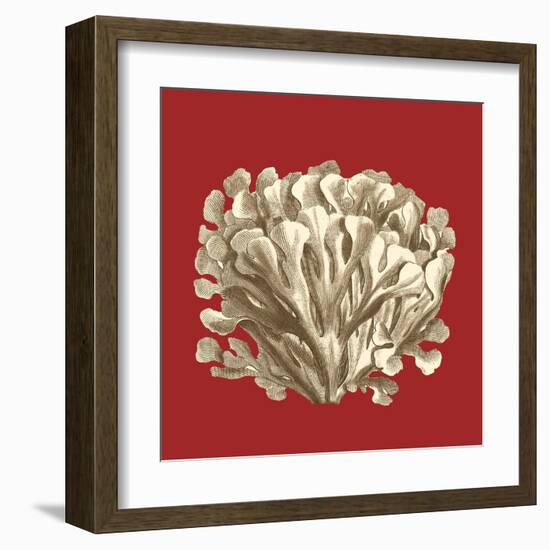 Coral on Red III-Vision Studio-Framed Art Print