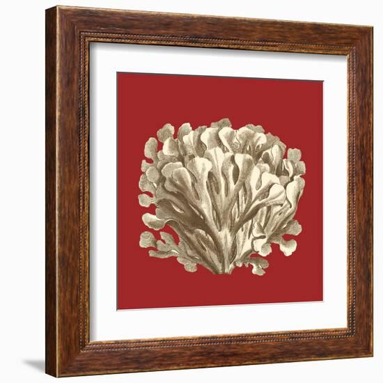 Coral on Red III-Vision Studio-Framed Art Print