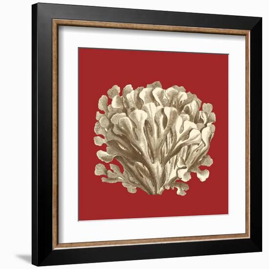 Coral on Red III-Vision Studio-Framed Art Print