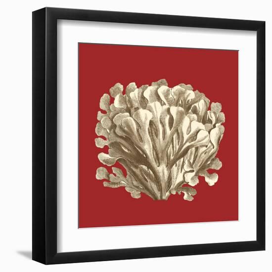 Coral on Red III-Vision Studio-Framed Art Print