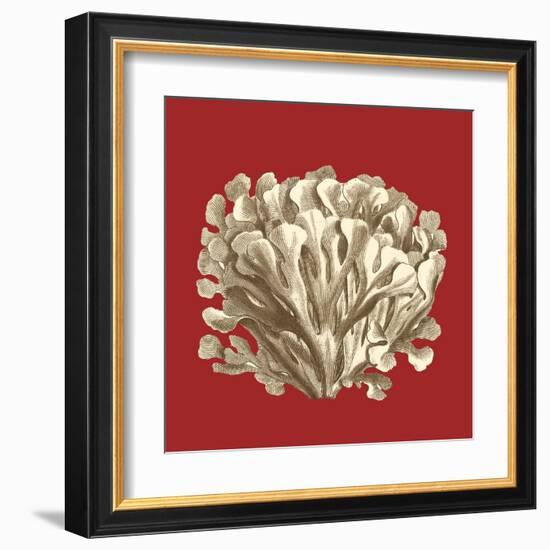 Coral on Red III-Vision Studio-Framed Art Print