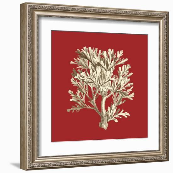 Coral on Red IV-Vision Studio-Framed Art Print