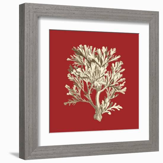 Coral on Red IV-Vision Studio-Framed Art Print