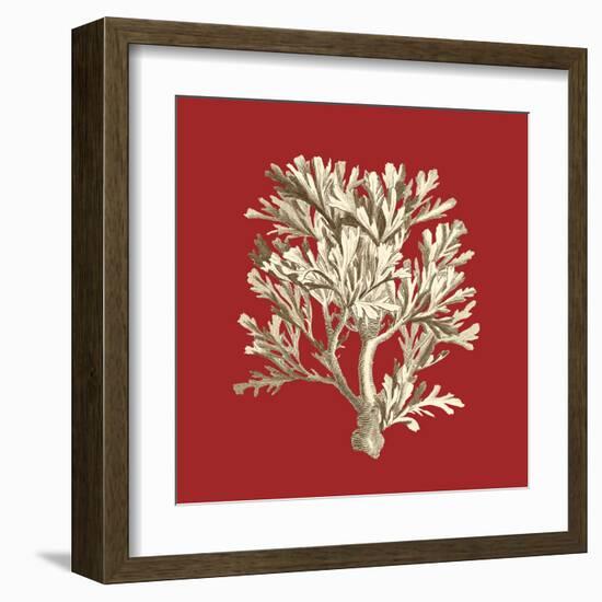 Coral on Red IV-Vision Studio-Framed Art Print