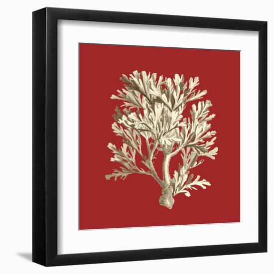 Coral on Red IV-Vision Studio-Framed Art Print