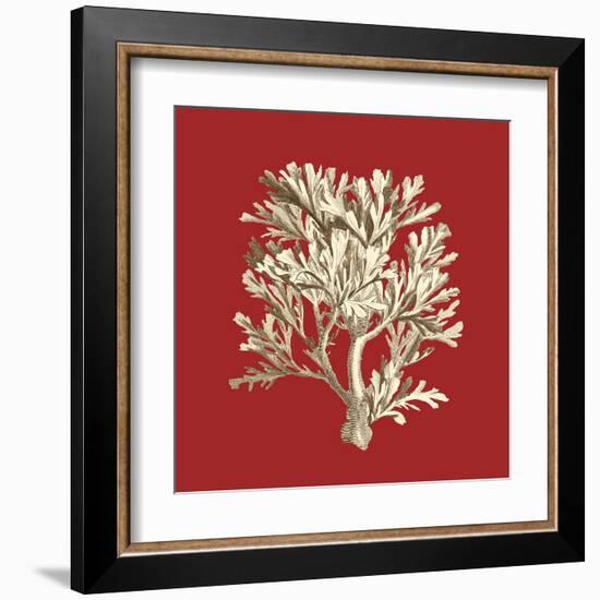 Coral on Red IV-Vision Studio-Framed Art Print