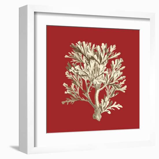 Coral on Red IV-Vision Studio-Framed Art Print