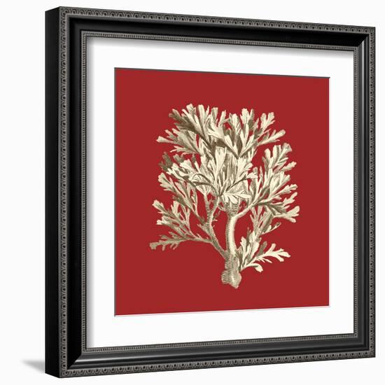 Coral on Red IV-Vision Studio-Framed Art Print