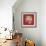 Coral on Red IV-Vision Studio-Framed Premium Giclee Print displayed on a wall