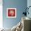 Coral on Red IV-Vision Studio-Framed Premium Giclee Print displayed on a wall