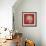 Coral on Red IV-Vision Studio-Framed Premium Giclee Print displayed on a wall