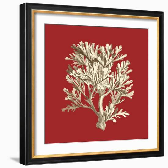 Coral on Red IV-Vision Studio-Framed Premium Giclee Print