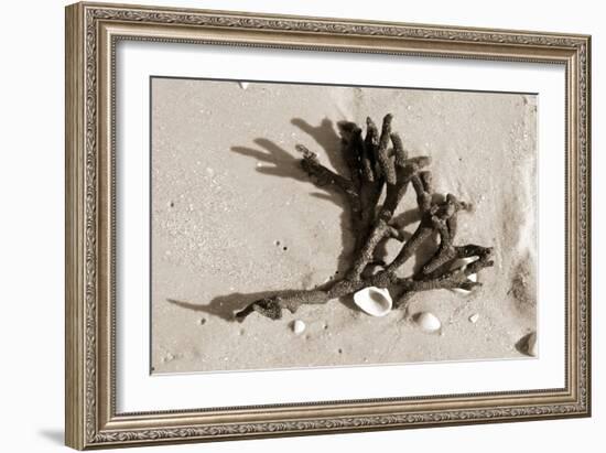 Coral on Sand-Jairo Rodriguez-Framed Photographic Print