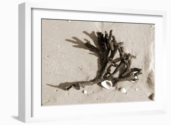 Coral on Sand-Jairo Rodriguez-Framed Photographic Print