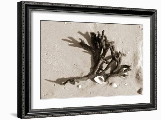 Coral on Sand-Jairo Rodriguez-Framed Photographic Print