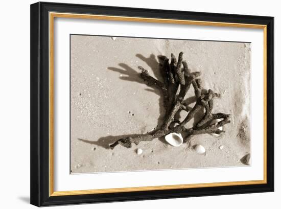 Coral on Sand-Jairo Rodriguez-Framed Photographic Print