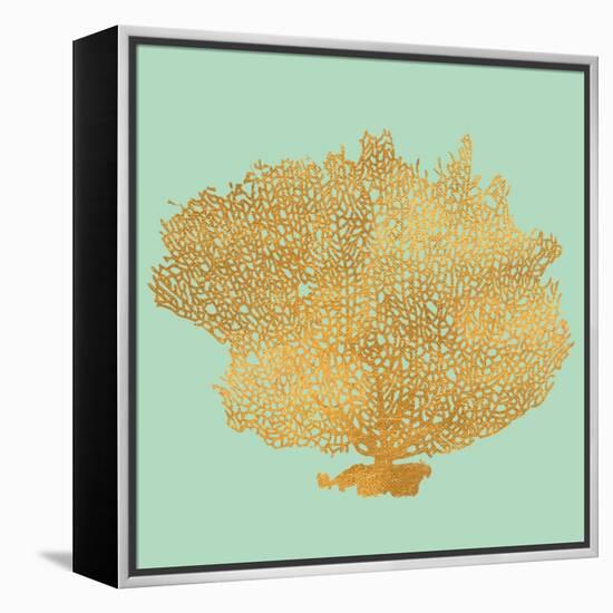 Coral on Teal I-Jairo Rodriguez-Framed Stretched Canvas