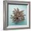 Coral on Teal Square-Jairo Rodriguez-Framed Photographic Print