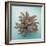 Coral on Teal Square-Jairo Rodriguez-Framed Photographic Print