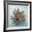 Coral on Teal Square-Jairo Rodriguez-Framed Photographic Print