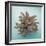 Coral on Teal Square-Jairo Rodriguez-Framed Photographic Print