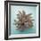 Coral on Teal Square-Jairo Rodriguez-Framed Photographic Print