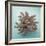 Coral on Teal Square-Jairo Rodriguez-Framed Photographic Print