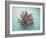 Coral on Teal-Jairo Rodriguez-Framed Photographic Print