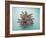 Coral on Teal-Jairo Rodriguez-Framed Photographic Print