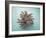 Coral on Teal-Jairo Rodriguez-Framed Photographic Print