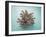 Coral on Teal-Jairo Rodriguez-Framed Photographic Print