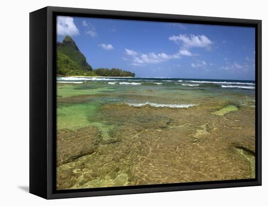 Coral on Tunnels Beach, Kauai, Hawaii, USA-Dennis Flaherty-Framed Premier Image Canvas