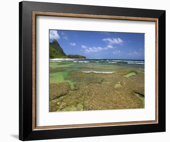 Coral on Tunnels Beach, Kauai, Hawaii, USA-Dennis Flaherty-Framed Photographic Print