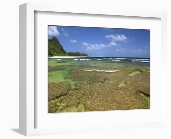 Coral on Tunnels Beach, Kauai, Hawaii, USA-Dennis Flaherty-Framed Photographic Print