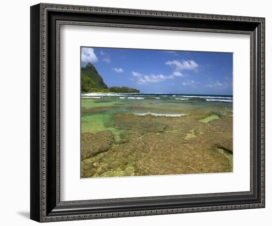 Coral on Tunnels Beach, Kauai, Hawaii, USA-Dennis Flaherty-Framed Photographic Print