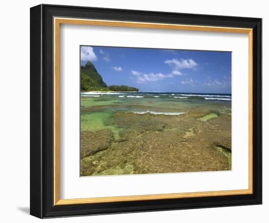 Coral on Tunnels Beach, Kauai, Hawaii, USA-Dennis Flaherty-Framed Photographic Print