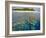 Coral Plates, Lagoon and Tropical Island, Maldives, Indian Ocean, Asia-Sakis Papadopoulos-Framed Photographic Print