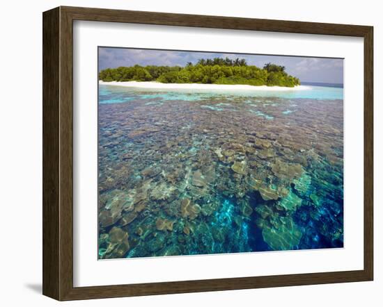 Coral Plates, Lagoon and Tropical Island, Maldives, Indian Ocean, Asia-Sakis Papadopoulos-Framed Photographic Print