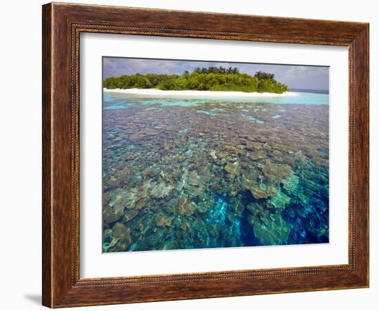 Coral Plates, Lagoon and Tropical Island, Maldives, Indian Ocean, Asia-Sakis Papadopoulos-Framed Photographic Print