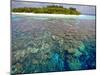 Coral Plates, Lagoon and Tropical Island, Maldives, Indian Ocean, Asia-Sakis Papadopoulos-Mounted Photographic Print