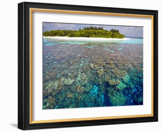 Coral Plates, Lagoon and Tropical Island, Maldives, Indian Ocean, Asia-Sakis Papadopoulos-Framed Photographic Print