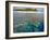 Coral Plates, Lagoon and Tropical Island, Maldives, Indian Ocean, Asia-Sakis Papadopoulos-Framed Photographic Print