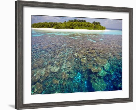 Coral Plates, Lagoon and Tropical Island, Maldives, Indian Ocean, Asia-Sakis Papadopoulos-Framed Photographic Print