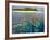 Coral Plates, Lagoon and Tropical Island, Maldives, Indian Ocean, Asia-Sakis Papadopoulos-Framed Photographic Print