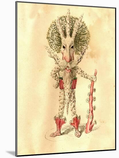 Coral Polyp 1873 'Missing Links' Parade Costume Design-Charles Briton-Mounted Giclee Print