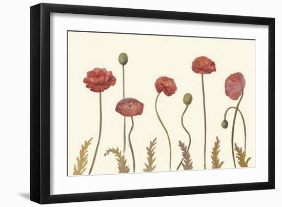 Coral Poppy Display I-Sandra Iafrate-Framed Art Print