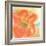 Coral Poppy II-Chris Paschke-Framed Art Print