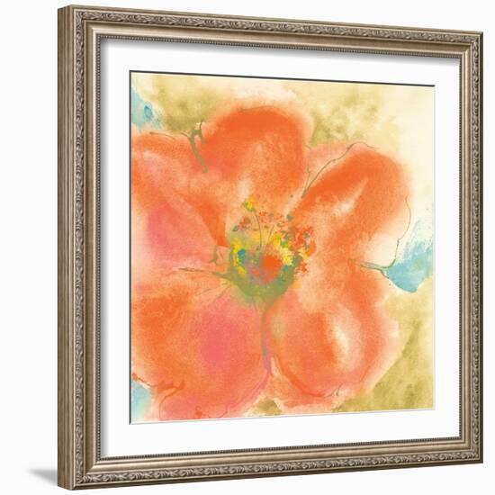 Coral Poppy II-Chris Paschke-Framed Art Print